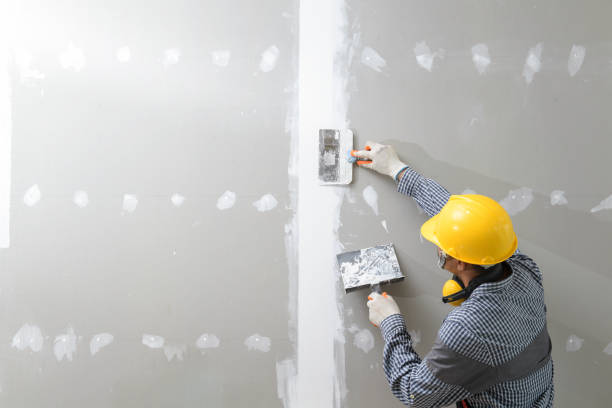 Best Environmental Consulting for Mold Prevention  in Hibbing, MN