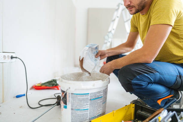 Best Attic Mold Removal  in Hibbing, MN