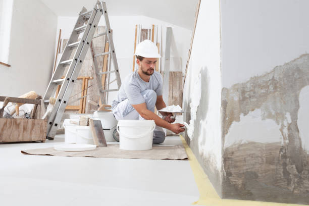 Best Mold Prevention Services  in Hibbing, MN