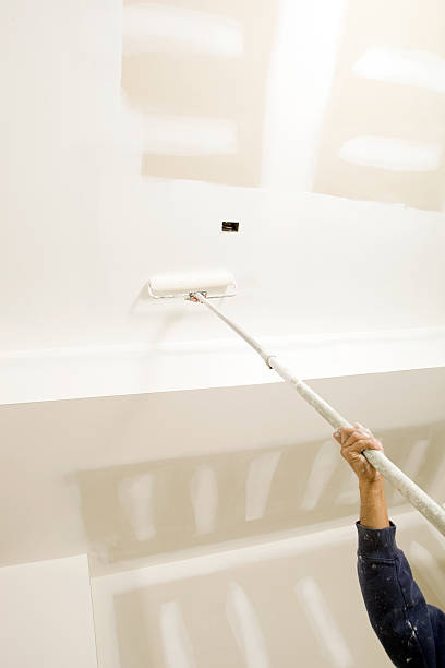 Best Black Mold Removal  in Hibbing, MN