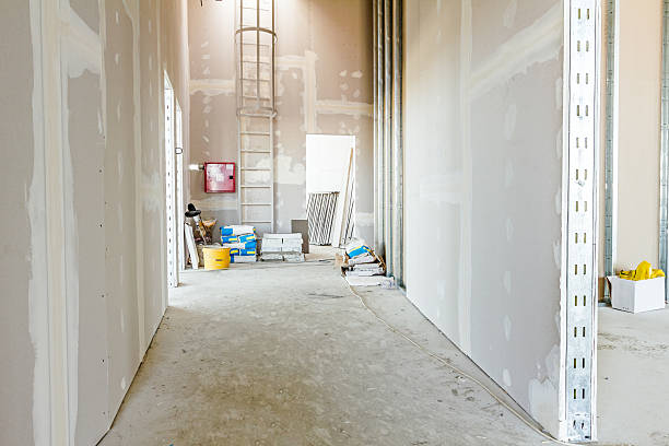 Best Mold Odor Removal Services  in Hibbing, MN