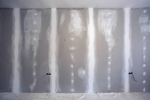 Best Airborne Mold Testing  in Hibbing, MN